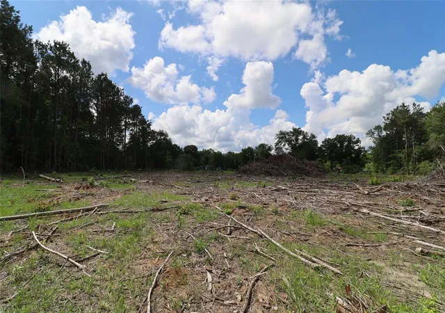 Photo 4 of Land for sale at 0 County Rd 3993, Bloomburg, TX 75556 | MLS# 54059165 | Listing updated on 2026-09-24