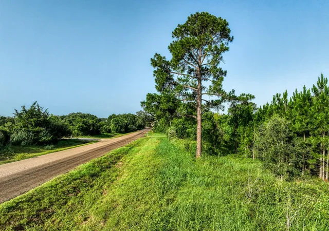 25th image of 0 Fm 2621, Brenham, TX 77833 | MLS# 67899188