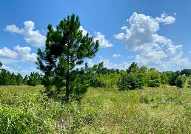 4th image of 0 Fm-2621, Brenham, TX 77833 | MLS# 67899188