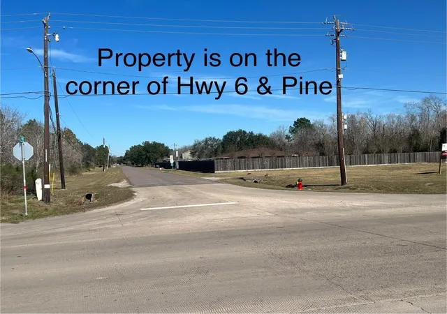 50th image of 7315 Pine St, Manvel, TX 77578 | MLS# 34409150