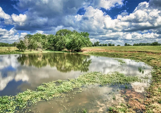 Photo 4 of Sale Pending at 11532 County Rd 408, Caldwell, TX 77836 | MLS# 6276653 | Listing updated on 2026-09-01