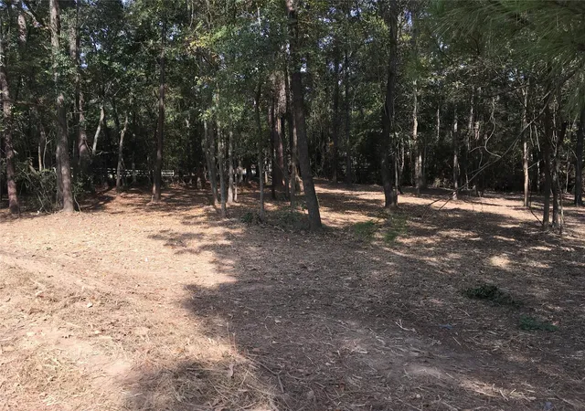 Photo 2 of Land for sale at 1930 Autumn Ridge Dr, Conroe, TX 77304 | MLS# 52553769 | Listing updated on 2026-09-11
