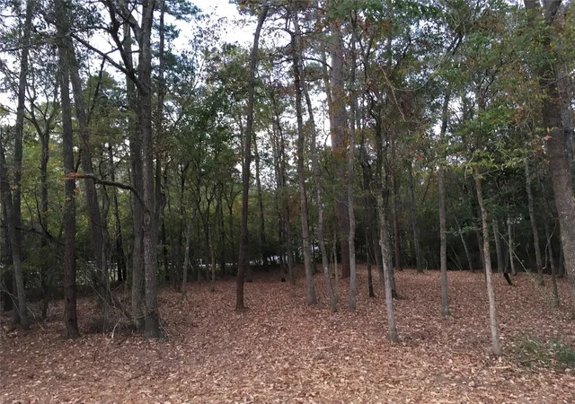 Photo 3 of Land for sale at 1930 Autumn Ridge Dr, Conroe, TX 77304 | MLS# 52553769 | Listing updated on 2026-09-11