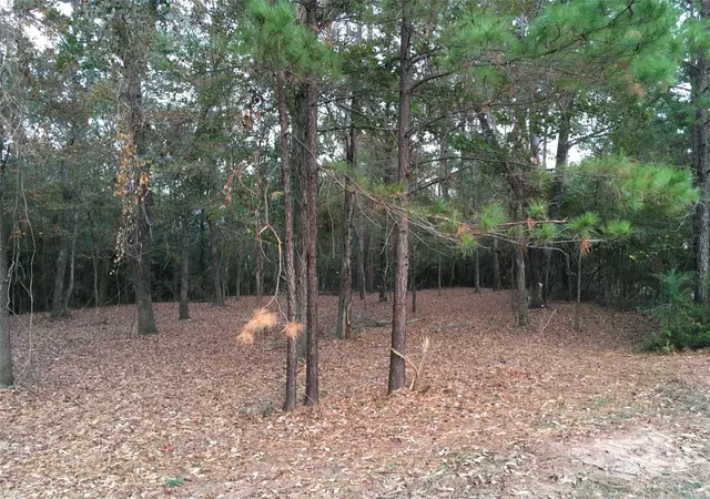 Photo 3 of Land for sale at 1930 Autumn Ridge Dr, Conroe, TX 77304 | MLS# 52553769 | Listing updated on 2026-09-11