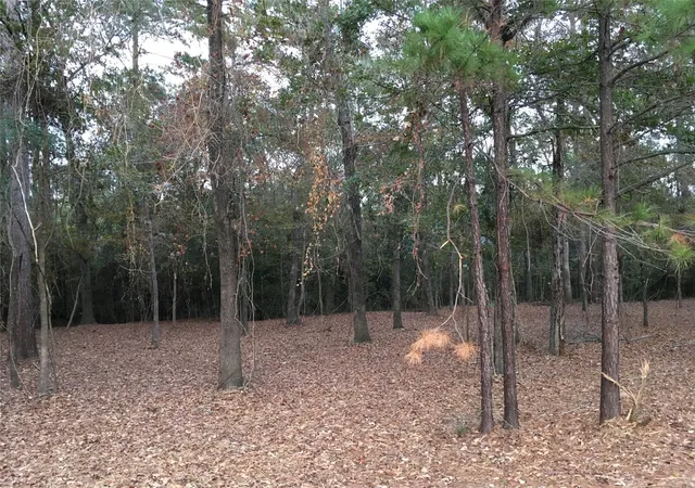 Photo 4 of Land for sale at 1930 Autumn Ridge Dr, Conroe, TX 77304 | MLS# 52553769 | Listing updated on 2026-09-11
