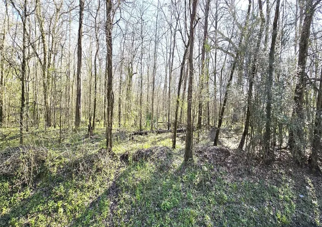 Photo 1 of Land for sale at Tbd County Rd 2500, Liberty, TX 77575 | MLS# 50322553 | Listing updated on 2026-04-16