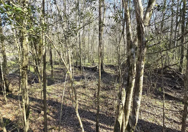 Photo 2 of Land for sale at Tbd County Rd 2500, Liberty, TX 77575 | MLS# 50322553 | Listing updated on 2026-04-16