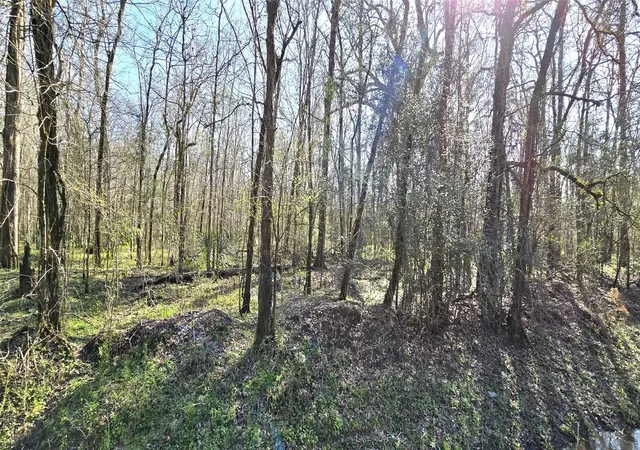 Photo 3 of Land for sale at Tbd County Rd 2500, Liberty, TX 77575 | MLS# 50322553 | Listing updated on 2026-04-16