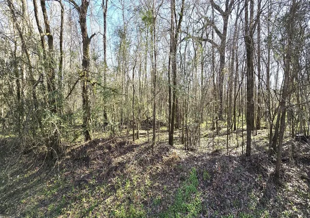 Photo 4 of Land for sale at Tbd County Rd 2500, Liberty, TX 77575 | MLS# 50322553 | Listing updated on 2026-04-16