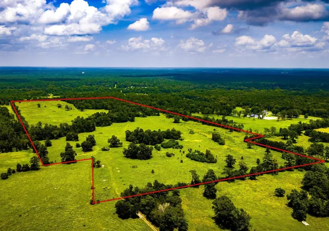 1st image of Tbd 1375 Rd E, New Waverly, TX 77358 | MLS# 97367244