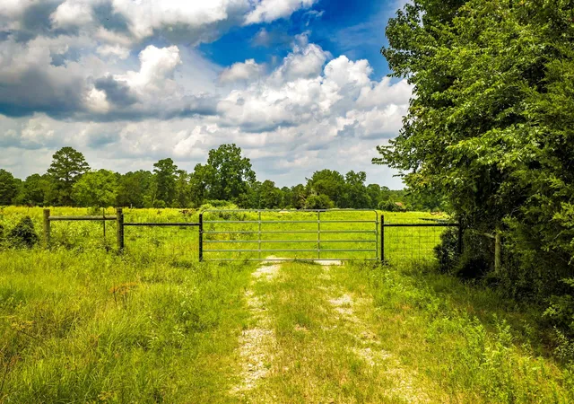 2nd image of Tbd 1375 Rd E, New Waverly, TX 77358 | MLS# 97367244