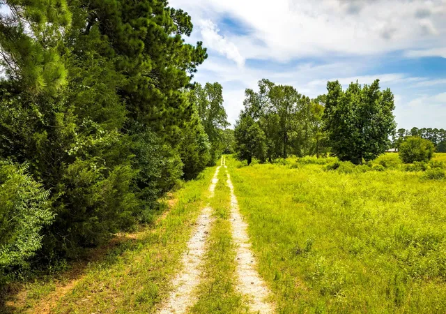34th image of Tbd 1375 Rd E, New Waverly, TX 77358 | MLS# 97367244