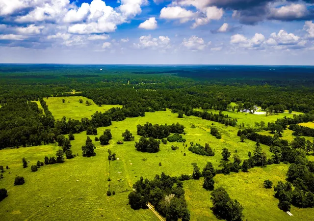 5th image of Tbd 1375 Rd E, New Waverly, TX 77358 | MLS# 97367244