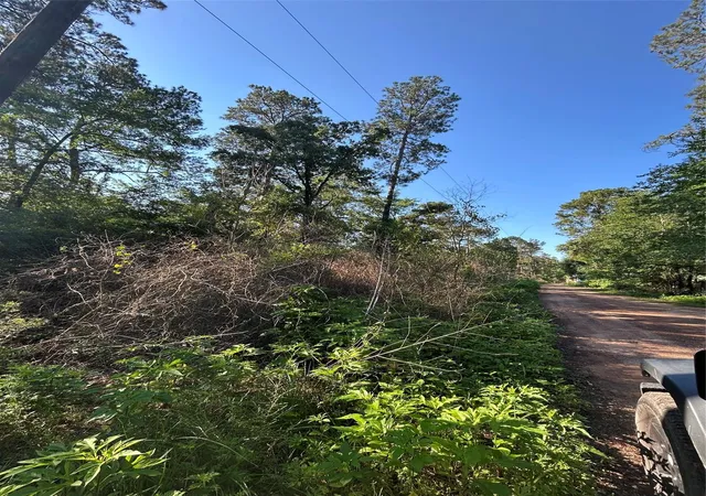 Photo 2 of Land for sale at Tbd White Oak Dr, Plantersville, TX 77363 | MLS# 59255476 | Listing updated on 2026-05-14