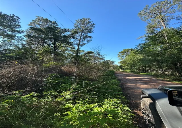 Photo 3 of Land for sale at Tbd White Oak Dr, Plantersville, TX 77363 | MLS# 59255476 | Listing updated on 2026-05-14