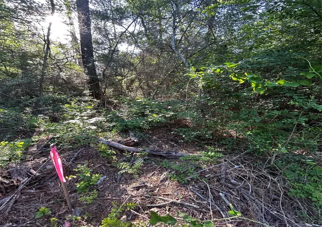 Photo 4 of Land for sale at Tbd White Oak Dr, Plantersville, TX 77363 | MLS# 59255476 | Listing updated on 2026-05-14