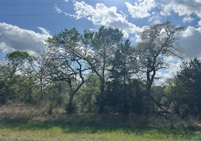 Homes for sale in Columbus, TX | 3060 Brunes Mill Rd, Columbus, TX 78934 | MLS# 46899874