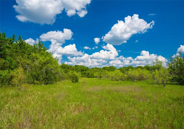 Photo 3 of Land for sale at 0 Highway 84, Mexia, TX 76667 | MLS# 2149920 | Listing updated on 2026-07-21