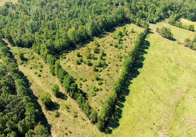 Photo 2 of Land for sale at 419 Marshall Ivy Rd, Huntington, TX 75949 | MLS# 87177231 | Listing updated on 2026-07-21