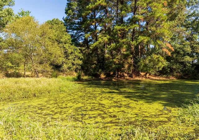 Photo 3 of Land for sale at 419 Marshall Ivy Rd, Huntington, TX 75949 | MLS# 87177231 | Listing updated on 2026-07-21