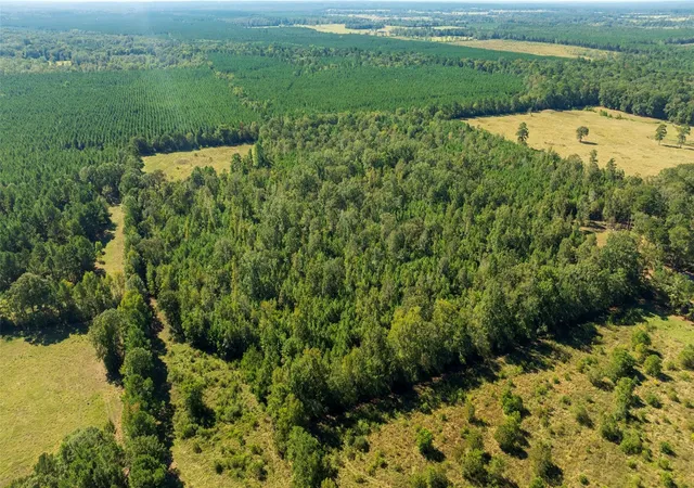 Photo 3 of Land for sale at 419 Marshall Ivy Rd, Huntington, TX 75949 | MLS# 87177231 | Listing updated on 2026-07-21