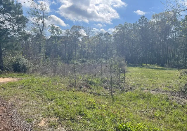 Photo 1 of Land for sale at Tbd Elendor Dr, Cleveland, TX 77328 | MLS# 9042846 | Listing updated on 2026-06-11