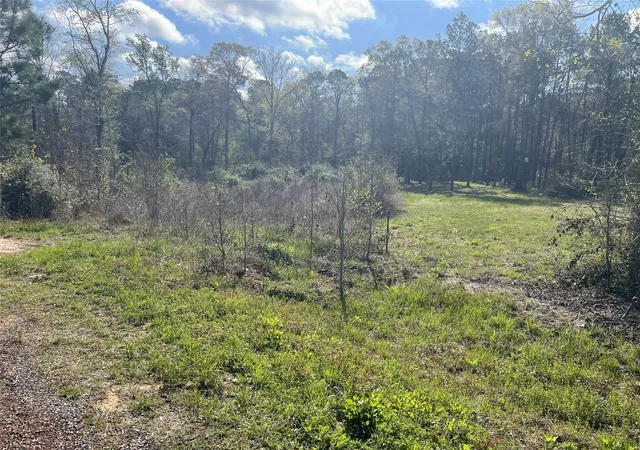 Photo 2 of Land for sale at Tbd Elendor Dr, Cleveland, TX 77328 | MLS# 9042846 | Listing updated on 2026-06-11