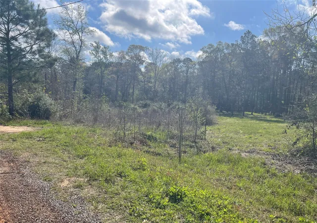Photo 2 of Land for sale at Tbd Elendor Dr, Cleveland, TX 77328 | MLS# 9042846 | Listing updated on 2026-06-11