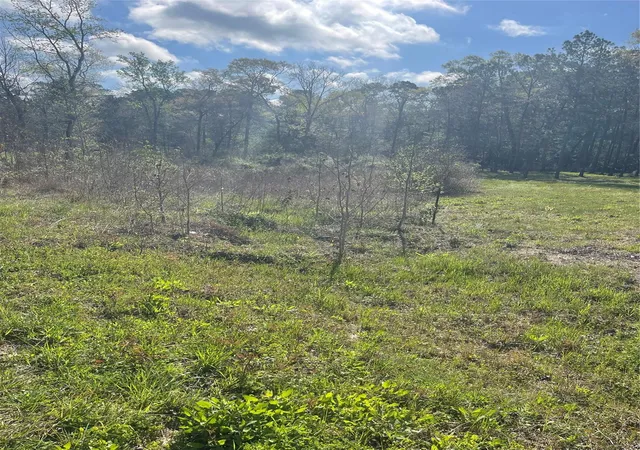 Photo 3 of Land for sale at Tbd Elendor Dr, Cleveland, TX 77328 | MLS# 9042846 | Listing updated on 2026-06-11