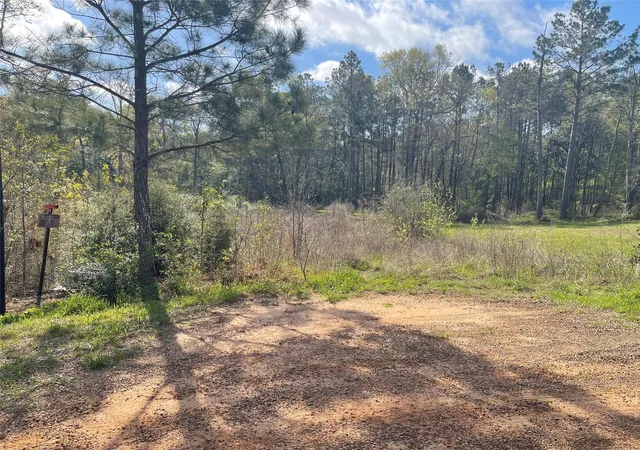 Photo 4 of Land for sale at Tbd Elendor Dr, Cleveland, TX 77328 | MLS# 9042846 | Listing updated on 2026-06-11