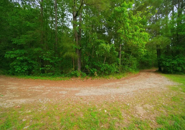 2nd image of 1775 Us Hwy 190 E, Livingston, TX 77351 | MLS# 9867721