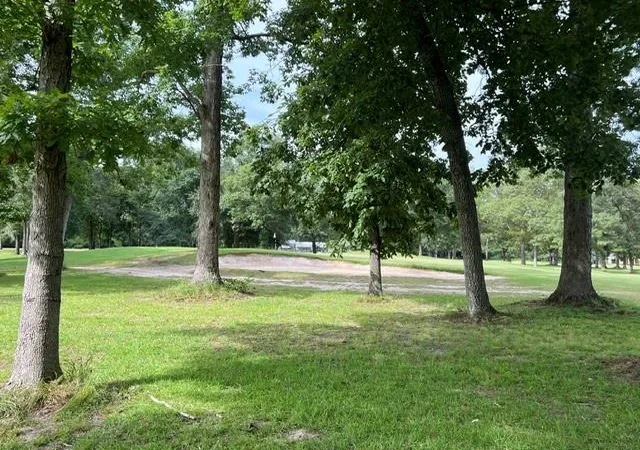 2nd image of 802 Wildwood Dr W, Village Mills, TX 77663 | MLS# 54643384