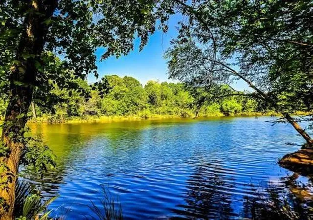 Photo 12 of Land for sale at 11 29 30 Grey Feather Rd, Huntsville, TX 77340 | MLS# 26808979 | Listing updated on 2026-04-24