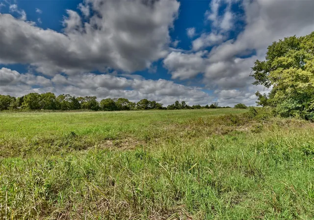 Homes for sale in Kenney, TX | Tbd Loop 497, Kenney, TX 77418 | MLS# 46018353