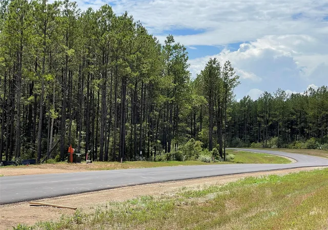 Photo 4 of Land for sale at 10891 Ruger Rd, Willis, TX 77378 | MLS# 48660847 | Listing updated on 2026-10-08