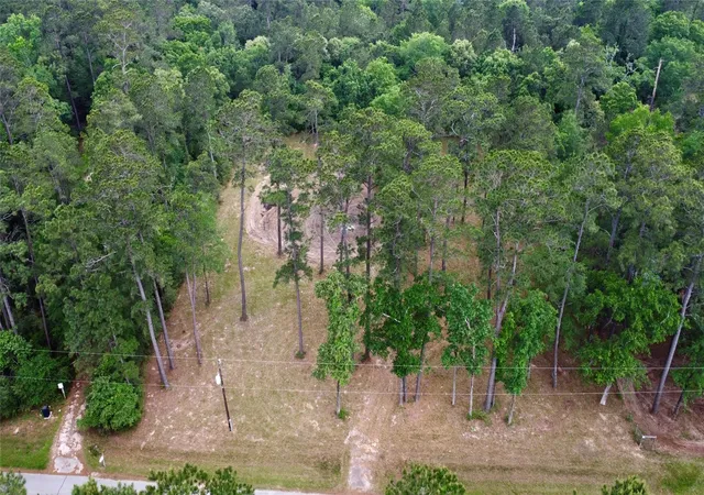 Photo 3 of Land for sale at 19110 Veterans Rd, Magnolia, TX 77355 | MLS# 52934839 | Listing updated on 2026-06-10