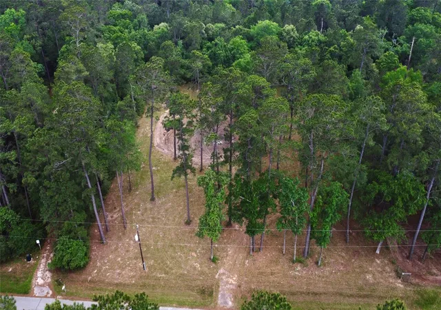 Photo 4 of Land for sale at 19110 Veterans Rd, Magnolia, TX 77355 | MLS# 52934839 | Listing updated on 2026-06-10