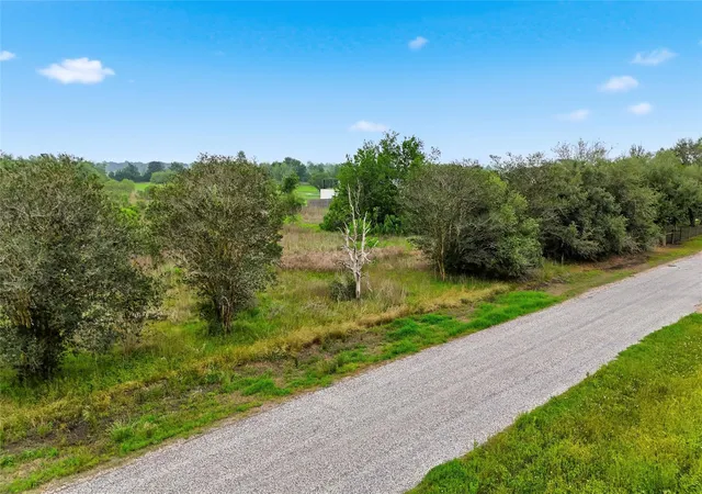 6th image of 14433 Tierra Grande Dr, Needville, TX 77461 | MLS# 44312891