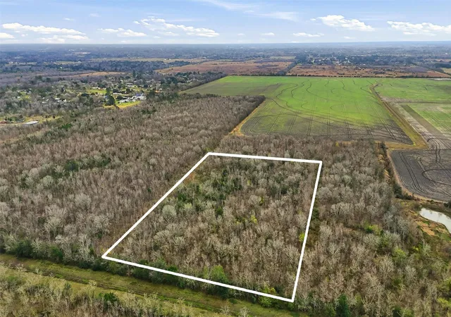 Photo 4 of Land for sale at 0 Tbd County Rd 146, Alvin, TX 77511 | MLS# 21886703 | Listing updated on 2026-05-29