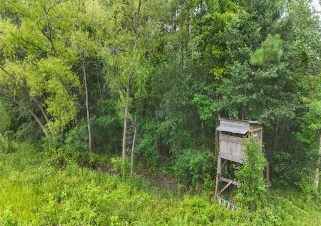 1st image of Tbd Hwy 90 N, Devers, TX 77538 | MLS# 30786155