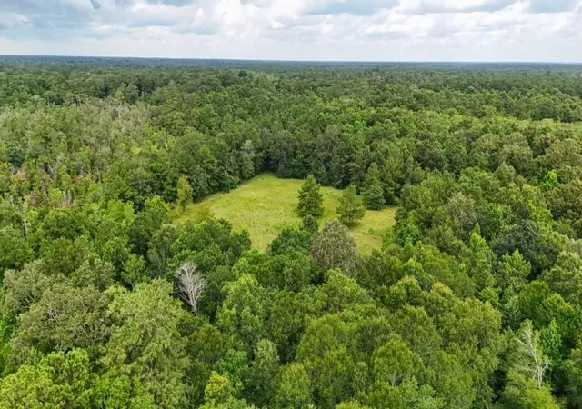 Photo 2 of Land for sale at Tbd Highway 90 N, Devers, TX 77538 | MLS# 30786155 | Listing updated on 2026-09-08