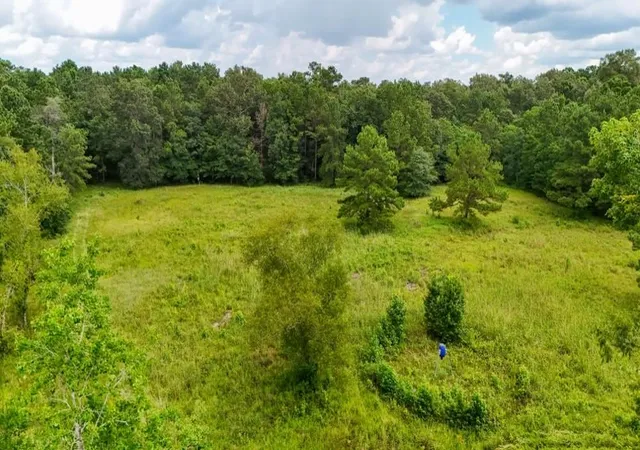 Photo 3 of Land for sale at Tbd Highway 90 N, Devers, TX 77538 | MLS# 30786155 | Listing updated on 2026-09-08