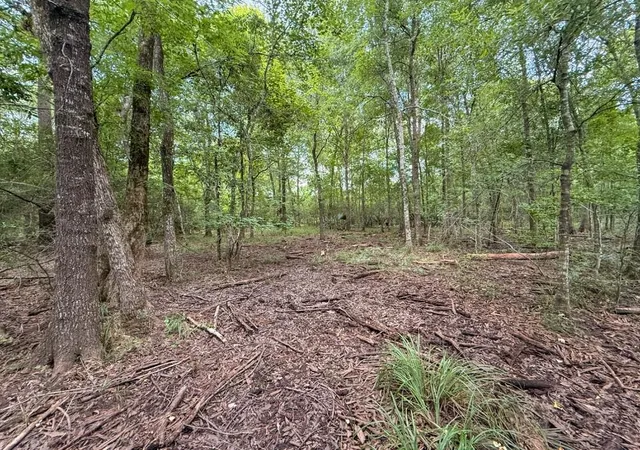 50th image of Tbd Hwy 90 N, Devers, TX 77538 | MLS# 30786155