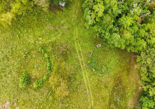 Photo 4 of Land for sale at Tbd Highway 90 N, Devers, TX 77538 | MLS# 30786155 | Listing updated on 2026-09-08