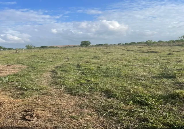 Photo 1 of Sale Pending at 1010 County Rd 595 Dr, Angleton, TX 77515 | MLS# 39531560 | Listing updated on 2026-09-17