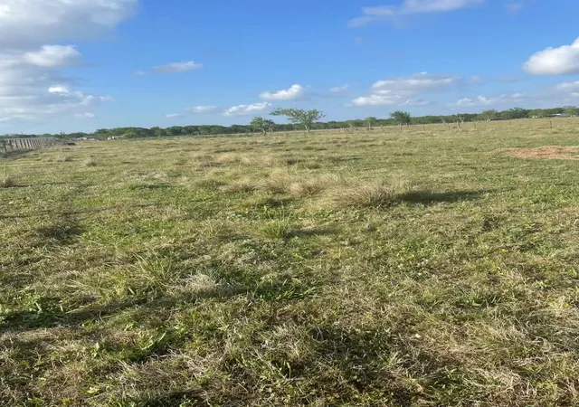Photo 2 of Sale Pending at 1010 County Rd 595 Dr, Angleton, TX 77515 | MLS# 39531560 | Listing updated on 2026-09-17