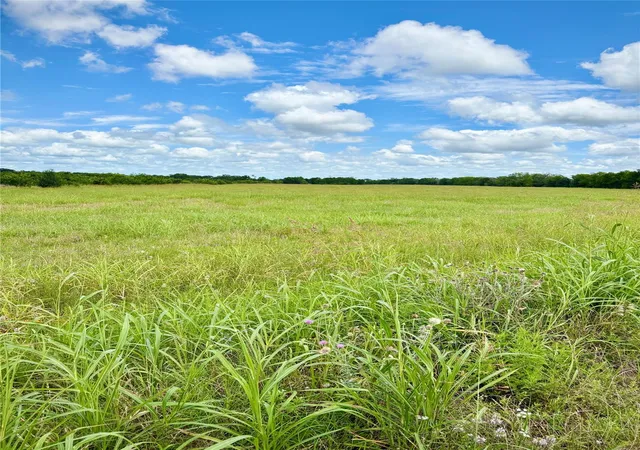 Photo 3 of Land for sale at 0 Korthauer Rd, Bellville, TX 77418 | MLS# 21534201 | Listing updated on 2026-08-10
