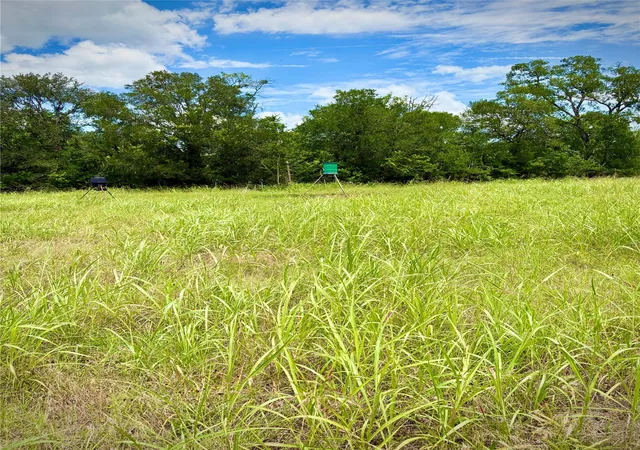 Photo 4 of Land for sale at 0 Korthauer Rd, Bellville, TX 77418 | MLS# 21534201 | Listing updated on 2026-08-10