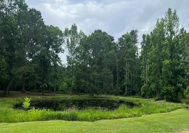 Photo 3 of Land for sale at 377 County Rd 3798, Cleveland, TX 77328 | MLS# 29364547 | Listing updated on 2026-08-02
