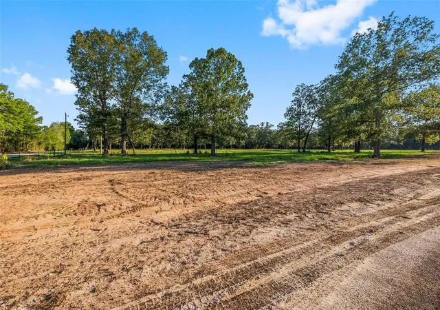 1st image of 6160 Alans Memorial Ln, New Waverly, TX 77358 | MLS# 62324576